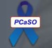 Prostate Cancer Support Organisation PCaSO